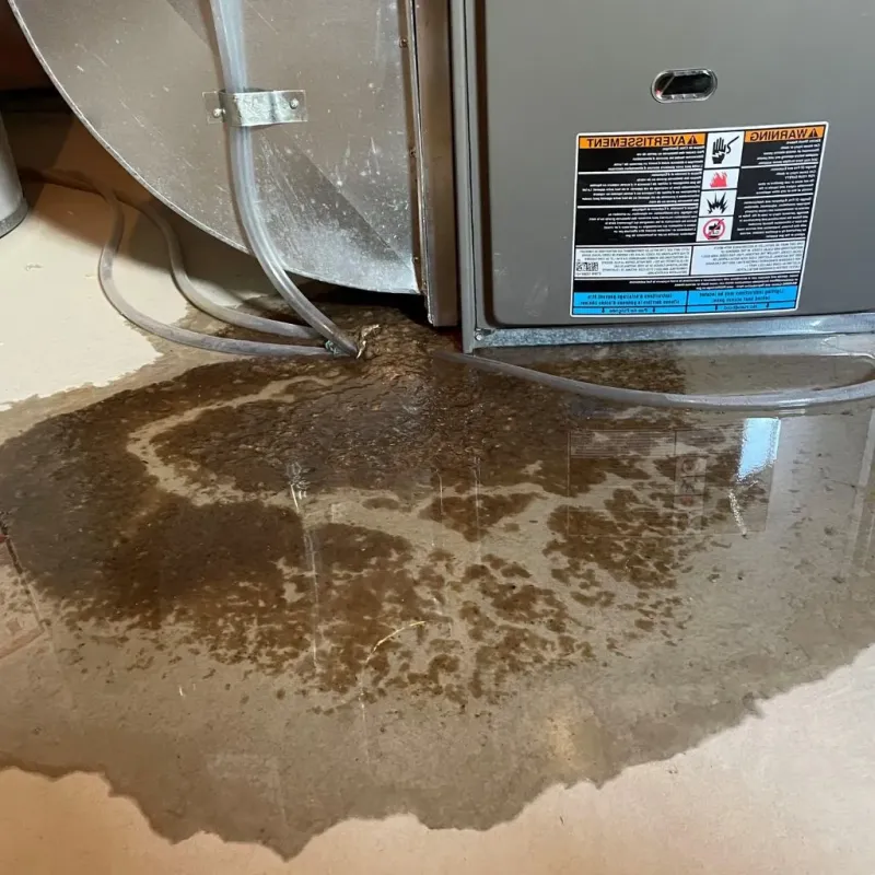 Pipe Burst and Leak Restoration in Buffalo County, SD
